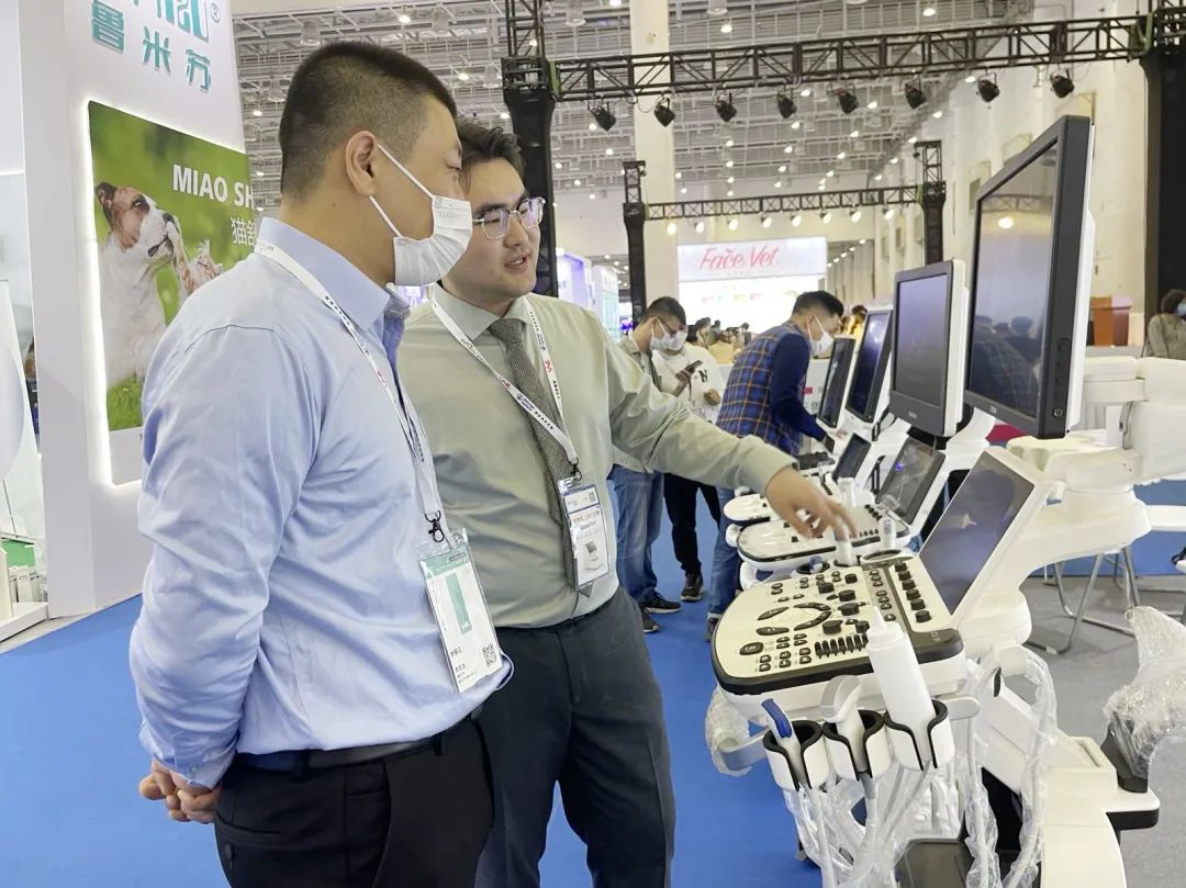 聚势谋新，共赢未来！ag贵宾厅医疗亮相第十四届东西部小动物临床兽医师大会